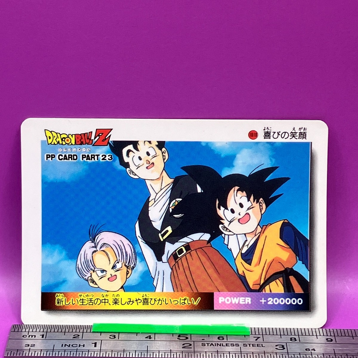 Gohan Goten Trunks 1010 Dragon Ball PP Card Part23 DBZ Carddass