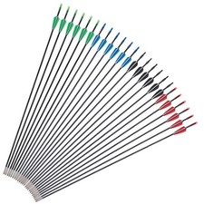 12pcs 31.5" Fiberglass Arrows Sp750 Archery Practice for Recurvebow/Compoundbow
