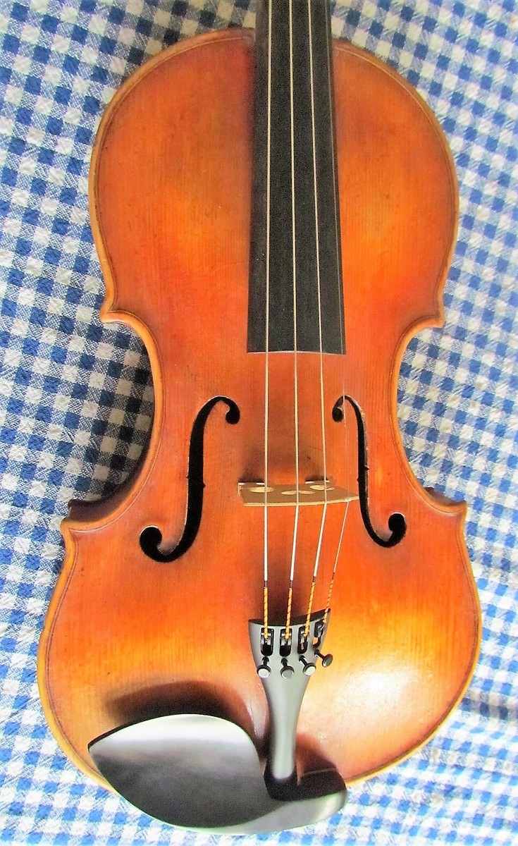 Fine 40.5 cm (16