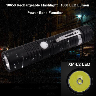 2600mah rechargeable power bank w flashlight 3-in-1 with Emergency GoBat 2600 in the pasture or out at the jobsite VARTA Torch LED & Power