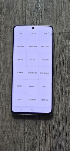 Samsung Galaxy S21 Ultra 5G Display – Ersatzteil