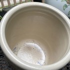 Picture 5 of 6