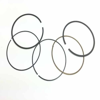 Engine Piston Ring Fit Hisun 750 Vector Sector Massimo Qlink Bennch Supermach