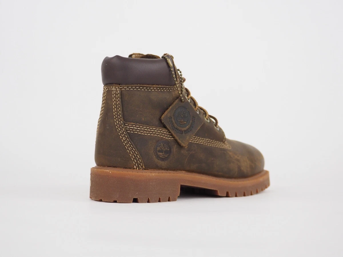 Boys timberland chukka boots sale