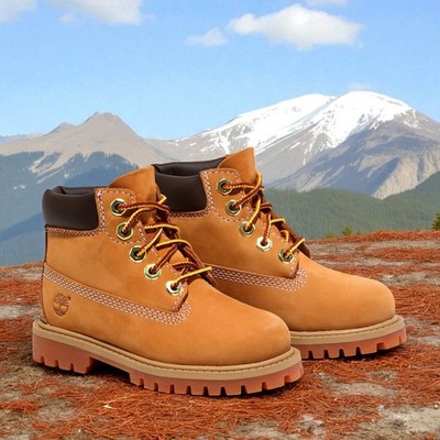 TB012809713] Toddlers Timberland 6 INCH PREMIUM BOOT 'WHEAT' | eBay