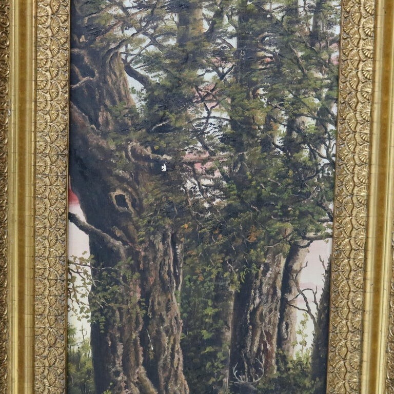 Picture 4 of 15
