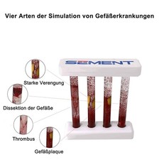 1PCS Modell des Gef&auml;&szlig;pathologies mit Blutflusssimulation, medizinisches Training