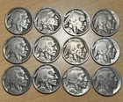 12 Buffalo Nickels 27-D 28-D 25-S 1915 20-D 1921 1919 1916 24-D 23-S 37-D 1917-D
