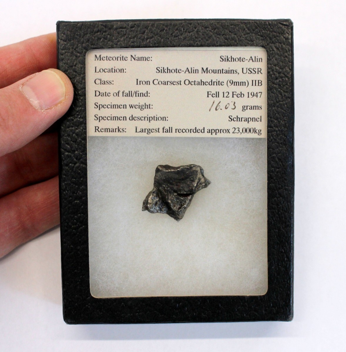 💥Russian SIKHOTE-ALIN Meteorite 16.03g Fragment Schrapnel 2/12/47