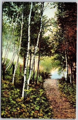 Birch Trees & Trails at North Leominster MA Vintage Mass Postcard B2