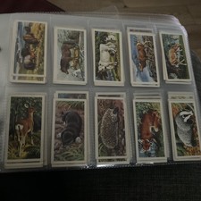 BROOKE BOND (TEA)-FULL SET- BRITISH WILD LIFE 1958 (TEA LTD BACK 50 CARDS)
