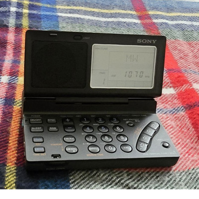 Sony ICF-SW100 Portable AM/FM Shortwave World Band Receiver w/ Case & AC Adapter