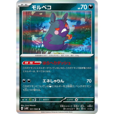 Morpeko 051/066 R Holo Ancient Roar Pokemon Card Japanese | eBay