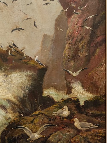 ALEXANDER MORTIMER ORIGINAL OIL PAINTING SEAGULLS OFF SCOTTISH COAST SIGNED 1899 - Picture 23 of 24