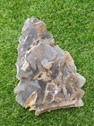 Foto 3 di 5