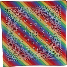 Rainbow Stripe Paisley Bandana
