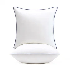® 20x20 Pillow Inserts Set of 2, Overfilled Down Alternative Decorative Pillo...