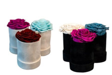 Flower Roses Everlasting Eternal Eternity Single Rose Velvet Hat Box Red Blue