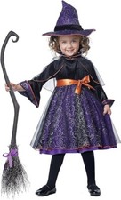 Hocus Pocus Enchanting Wicked Witch Girls Toddler Costume Size Toddler Large 4-6