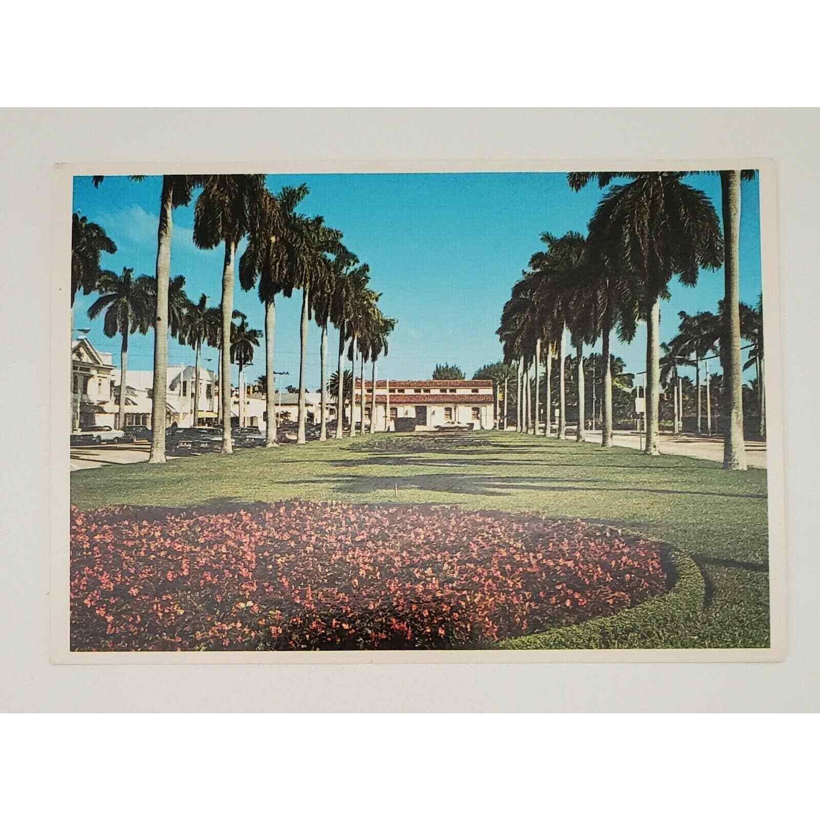 Palm Beach Florida Flowers Best Flower Site