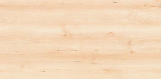 Bild 12 von 14