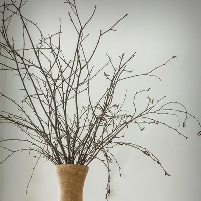 40 Pcs 31'' Real Birch Branches for Tall Vases Long Natural Tree Branches for ...