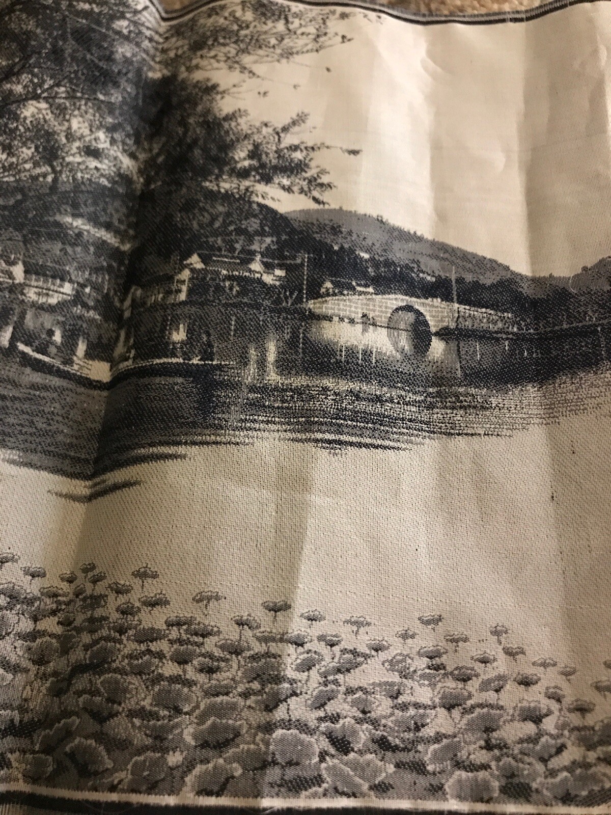 Picture 7 of 11
