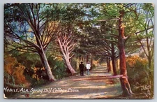 AL, Mobile, Spring Hill College Drive, Raphael Tuck, Vintage Postcard