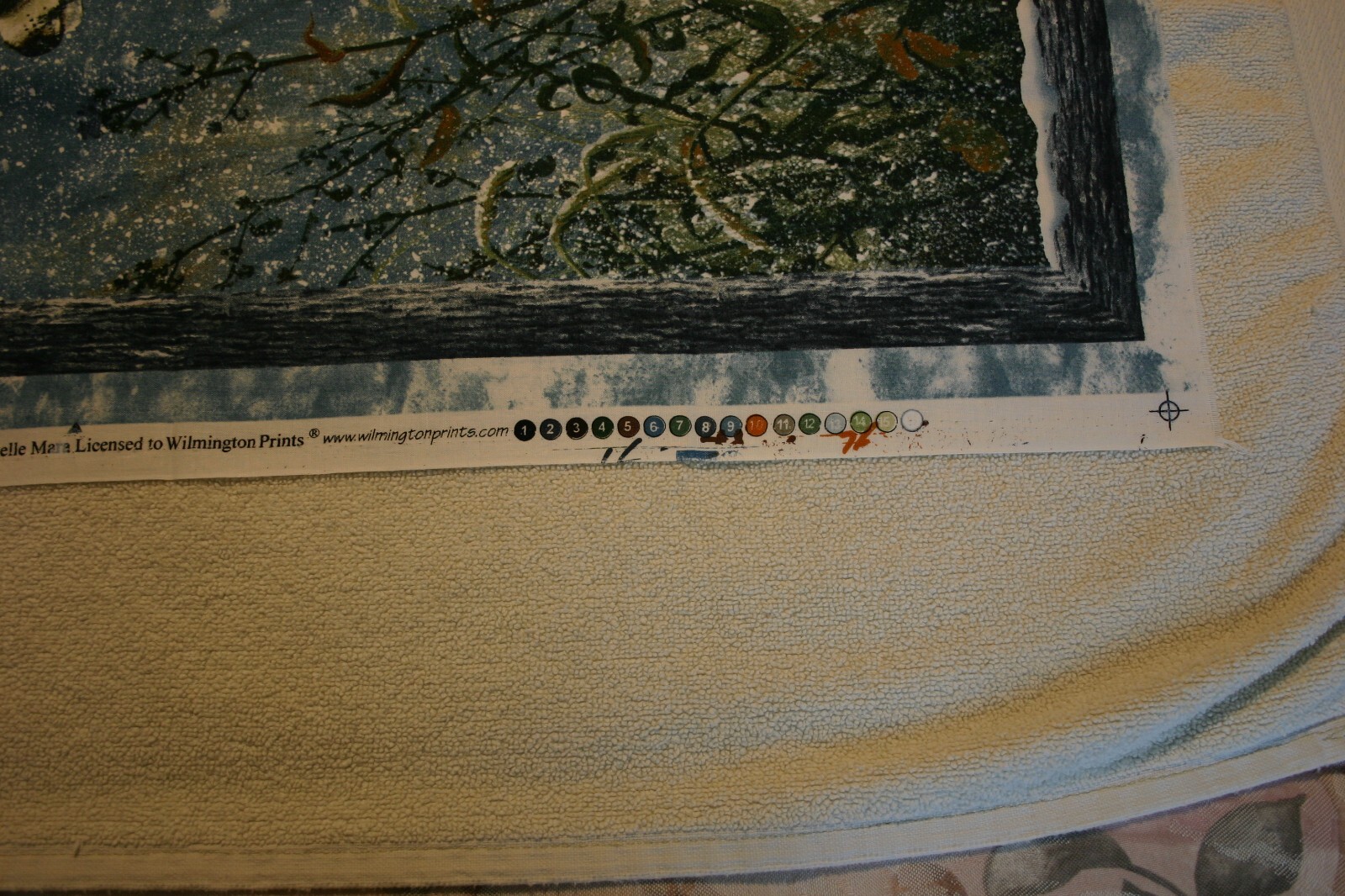 Picture 5 of 11