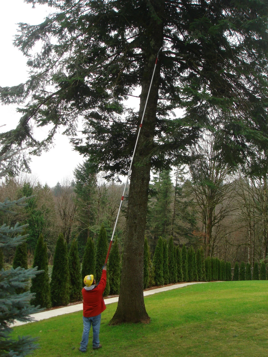 Barnel pole saw deals