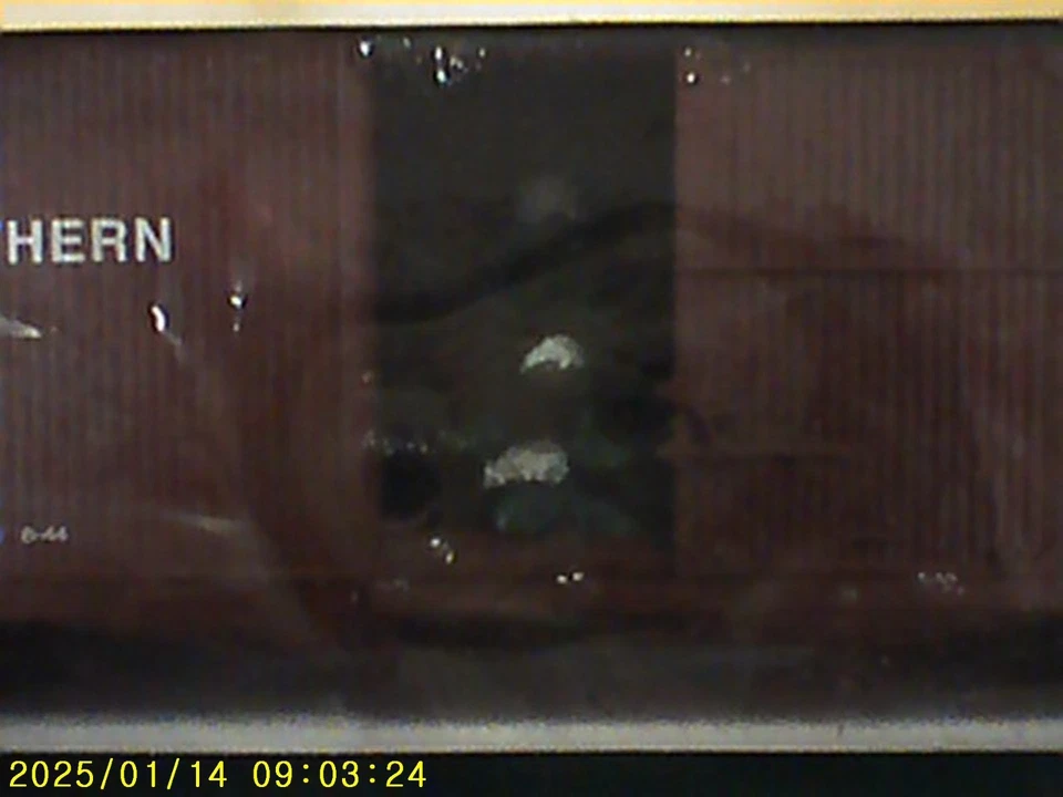 S Helper Service Showcase Line 02054 Great Northern 2009 Christmas Car w/ Tree - Image 2 of 3