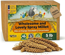 5 Lb Wholesome Spray Millet for Birds   USA Grown, Natural Sun-Dried Millet Spra