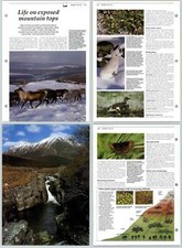 Life On Exposed Mountain Tops - Habitats - The Living Countryside 2 Pages