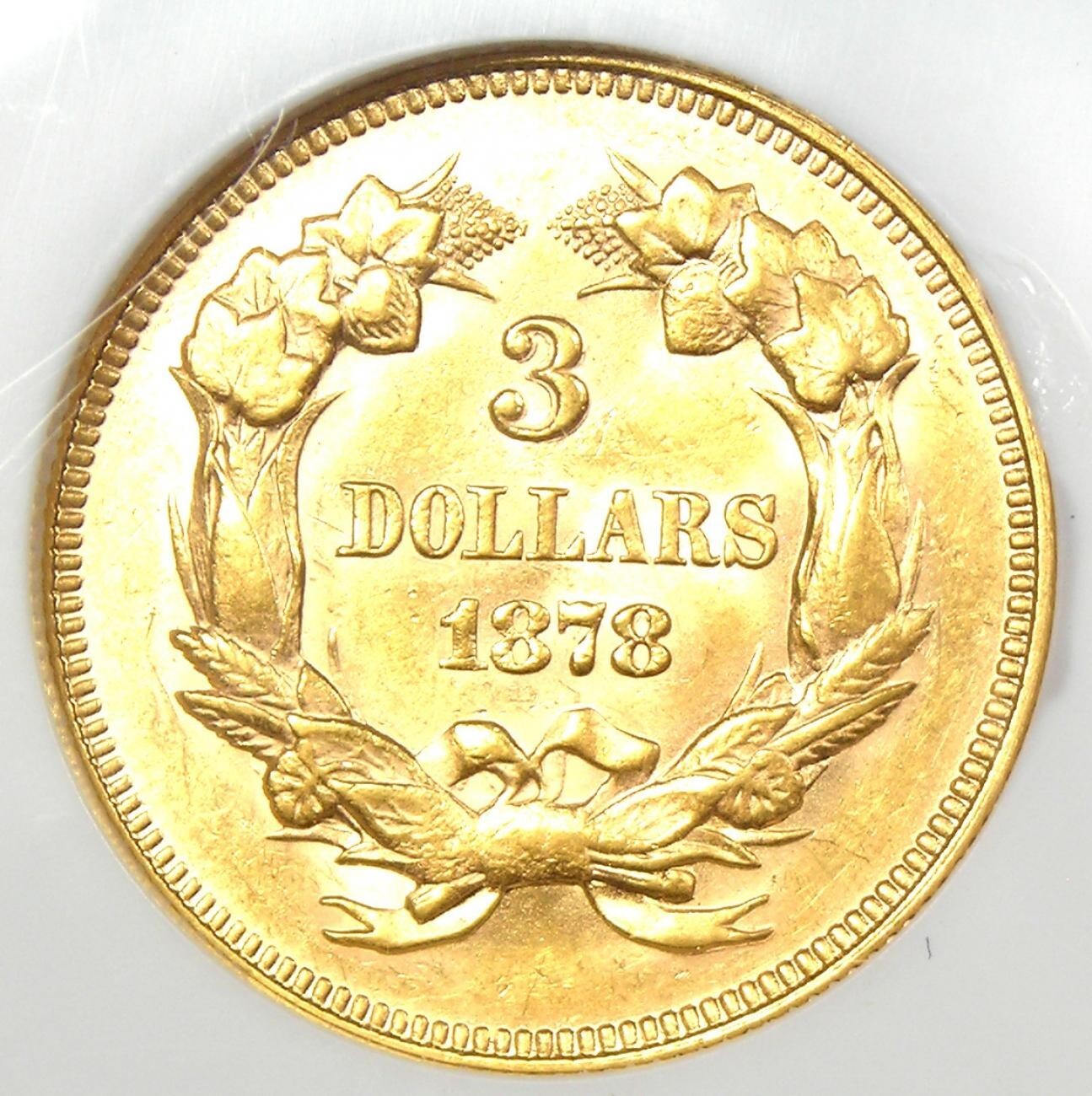 Picture 5 of 5
