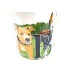 Bild 3 von 7