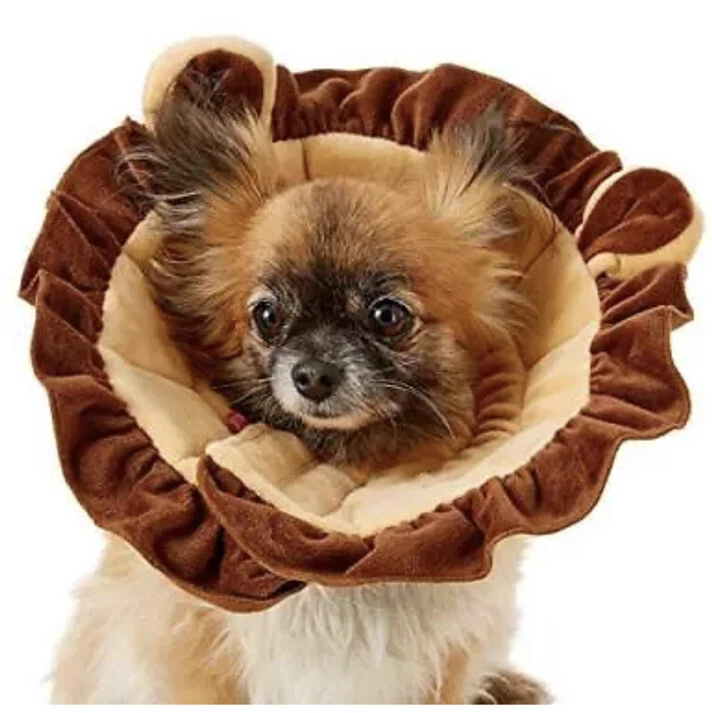 Alfie pet top recovery collar