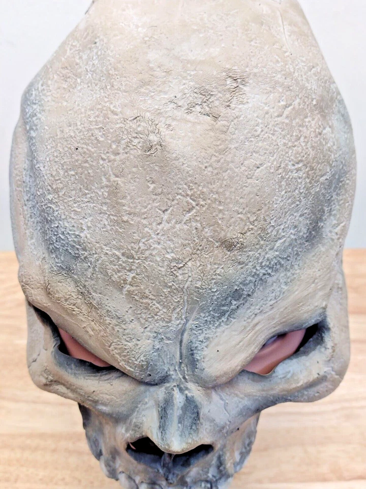 De colección Rubí Scary Tough Calavera Media Máscara Látex Disfraz Accesorio Adulto Adolescente Foto 4 de 4