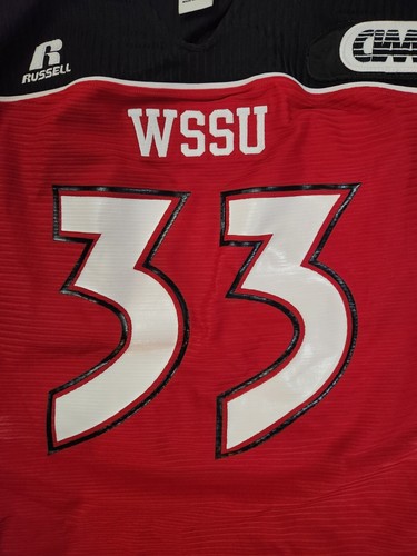 Winston-Salem State Rams Authentic Game Worn Football Jersey #33 L WSSU Rams - Picture 3 of 5