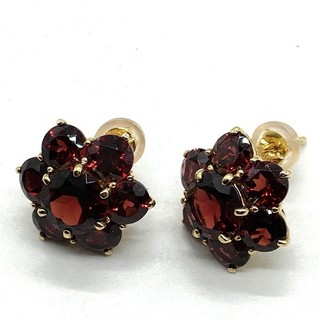 Jewelry Pierced Earring Garnet Gold 3150741