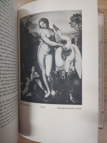 Leonardo Da Vinci - von Antonina Vallentin - 1938 - 1. Auflage - WIKINGER (H1025) - Bild 17 von 21