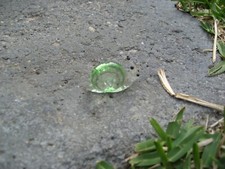 Hand Blown Glass Snail