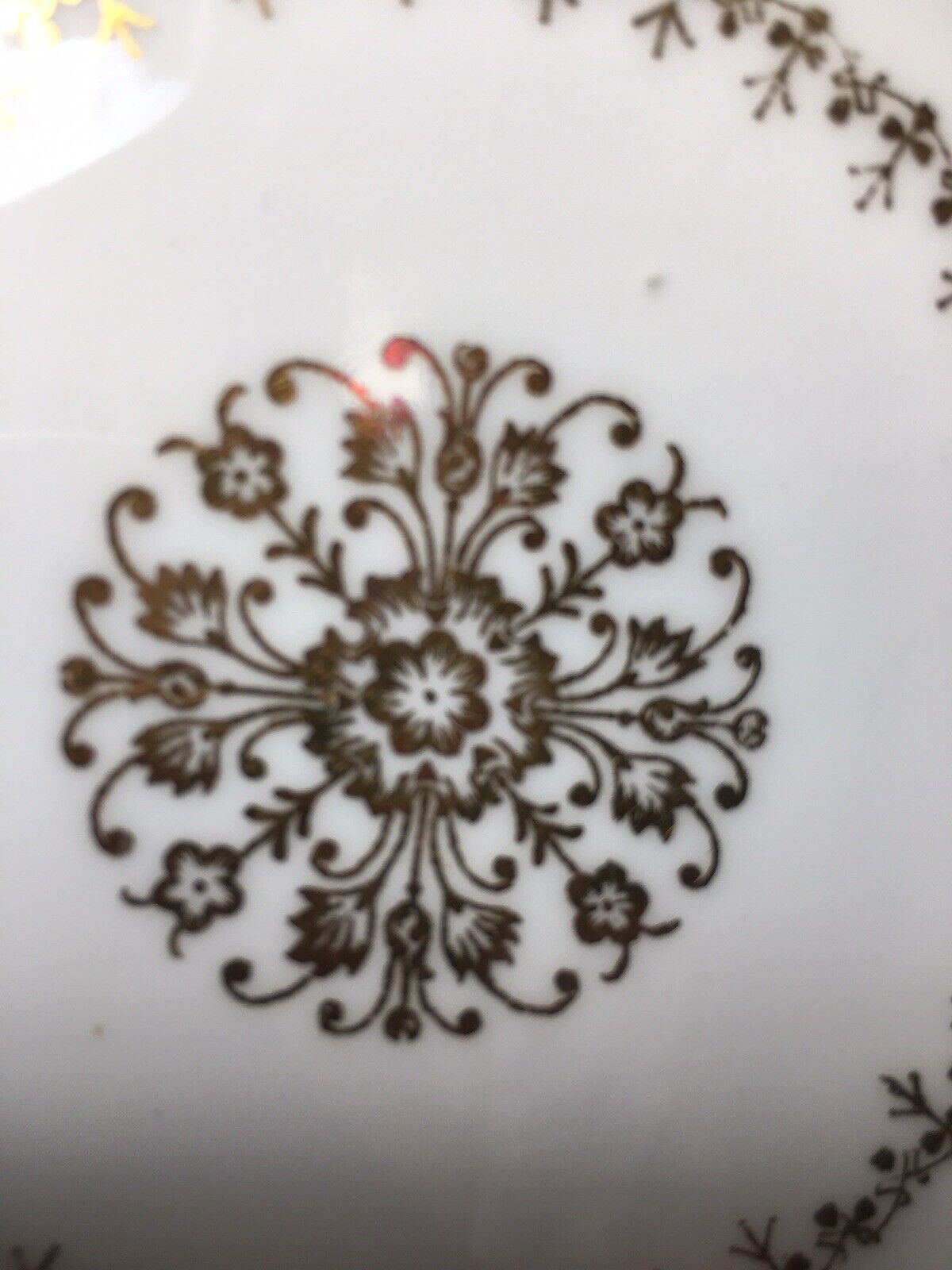 Picture 5 of 12