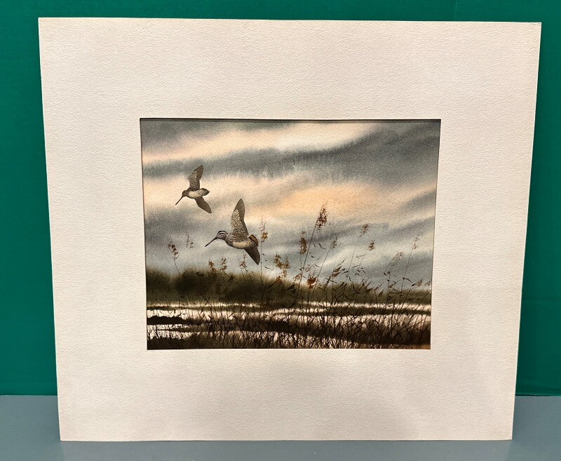 Picture 5 of 12