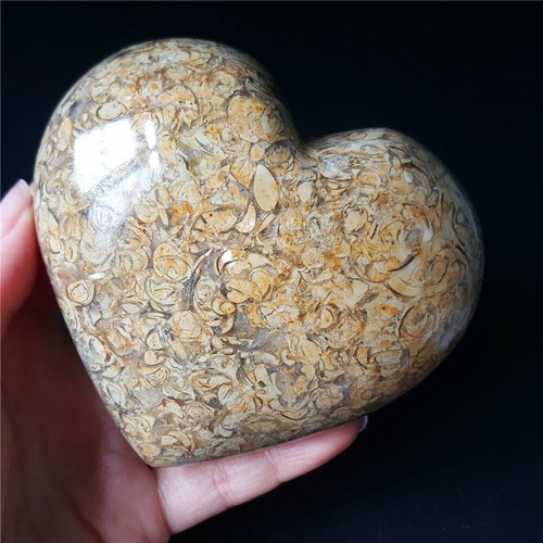 RARE 410.9G Marine Jasper Ecological Crystal Heart Sphere Madagascar YQ255 - Picture 9 of 12