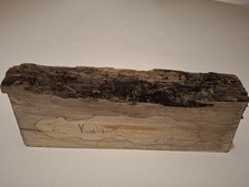 Kastanien Holzstück leicht gestockt