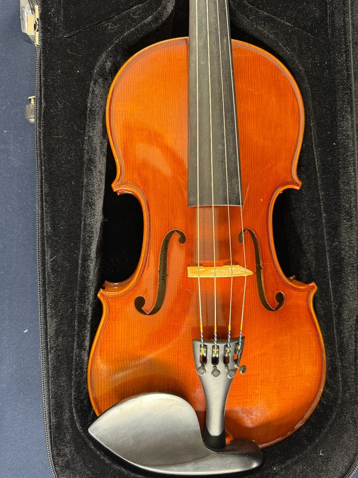 Viola Eastman VA100 con estuche (sin arco), 14 pulgadas, etiquetada "Concierto" 2005 Foto 2 de 4