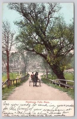 Middlesex Fells Massachusetts MA Horse Carriage Antique 1905 Postcard