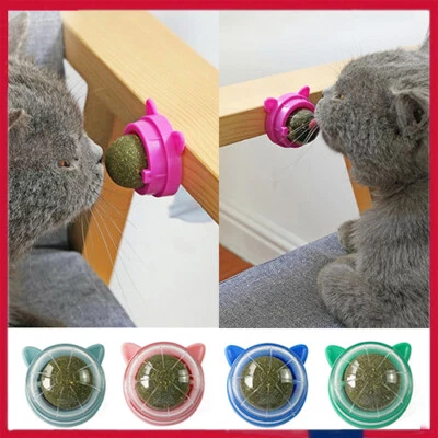 1-5x Rotatable Catnip Ball Cat Treat Snack Licking Ball Toy Kitten Pet Molar Toy