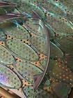 MCM Drawer Pulls Chrome Plated Arched Lot of 8  Different Sizes Some AMEROCK — photo 3
