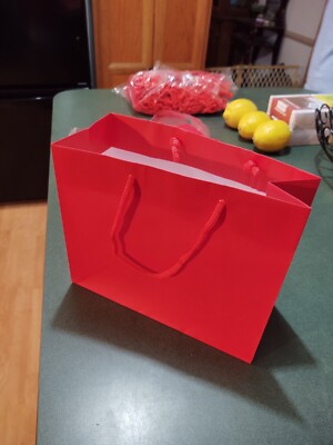 Red Gift Bags 20 Pack Medium Paper Gift Bags with Handles, 9